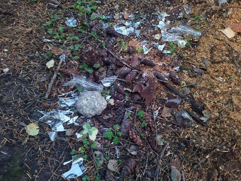 Litter has been left behind in Culloden Woods.