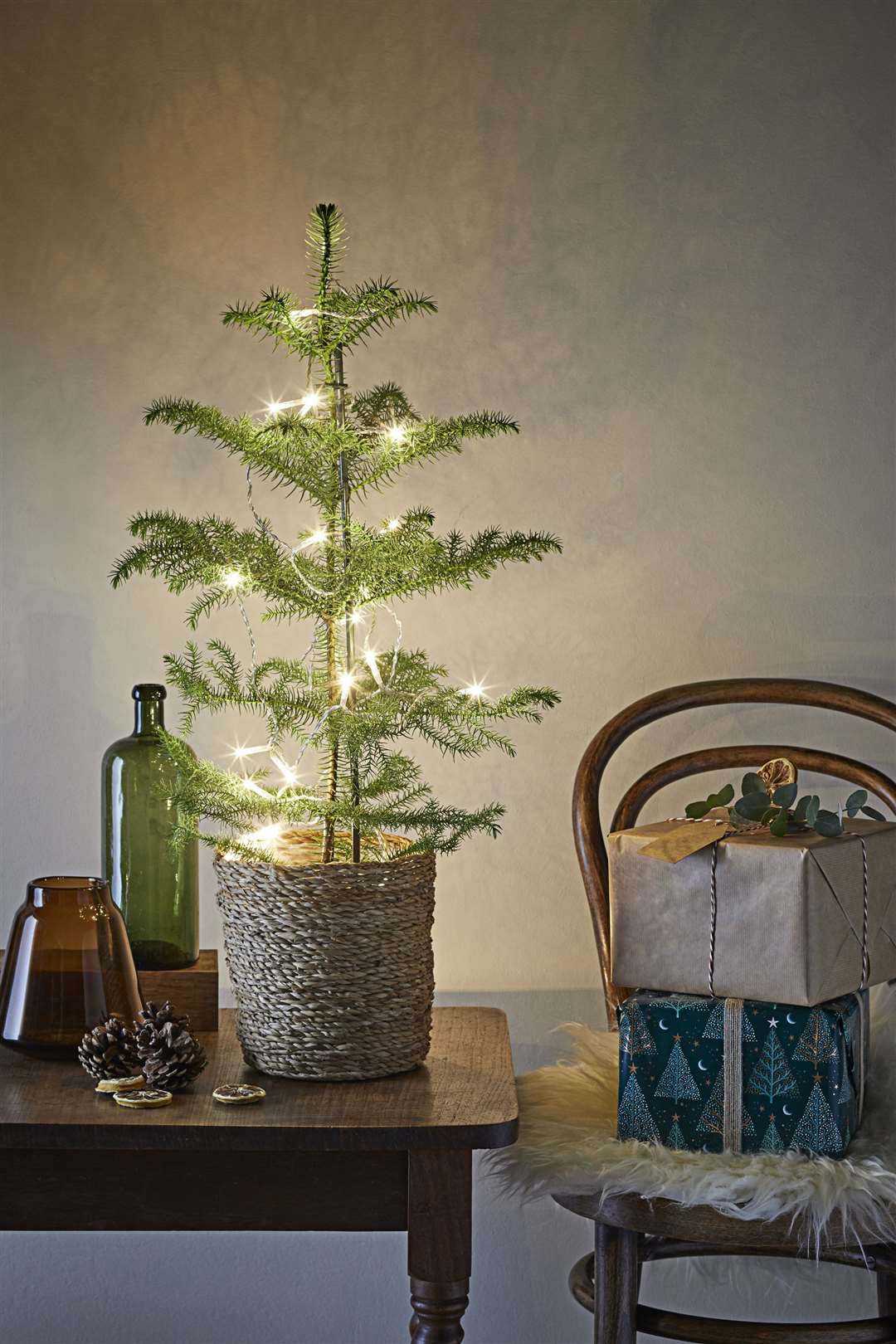 A Norfolk island pine with lights. Picture: Dobbies Garden Centres/PA