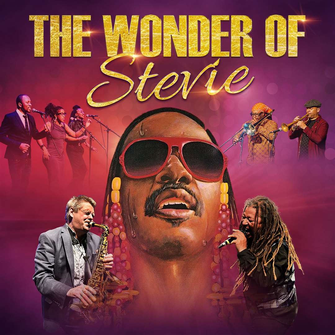 The Wonder Of Stevie.