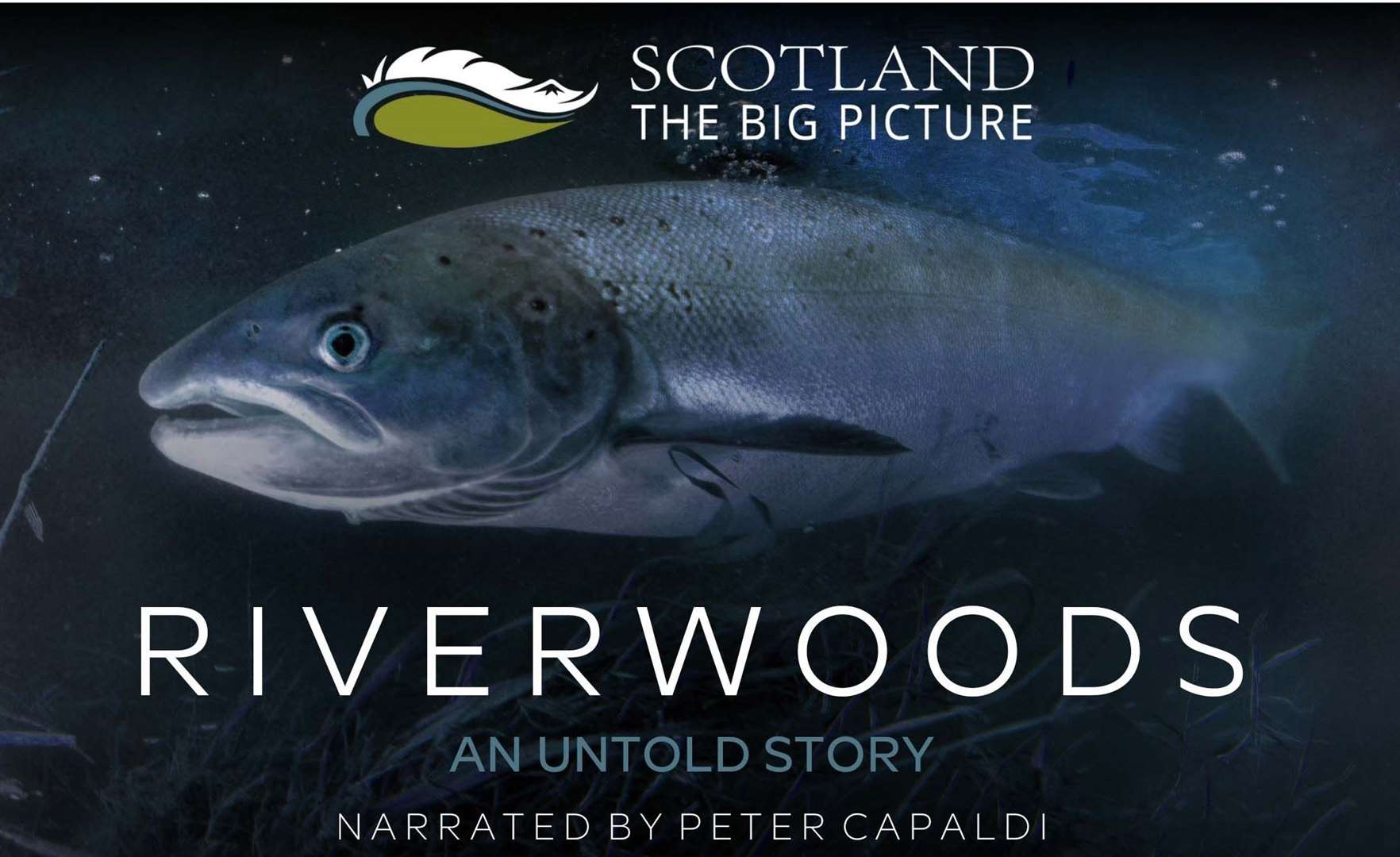 Riverwoods is the compelling story of Scotland’s Atlantic salmon and its role in the forest ecosystem.