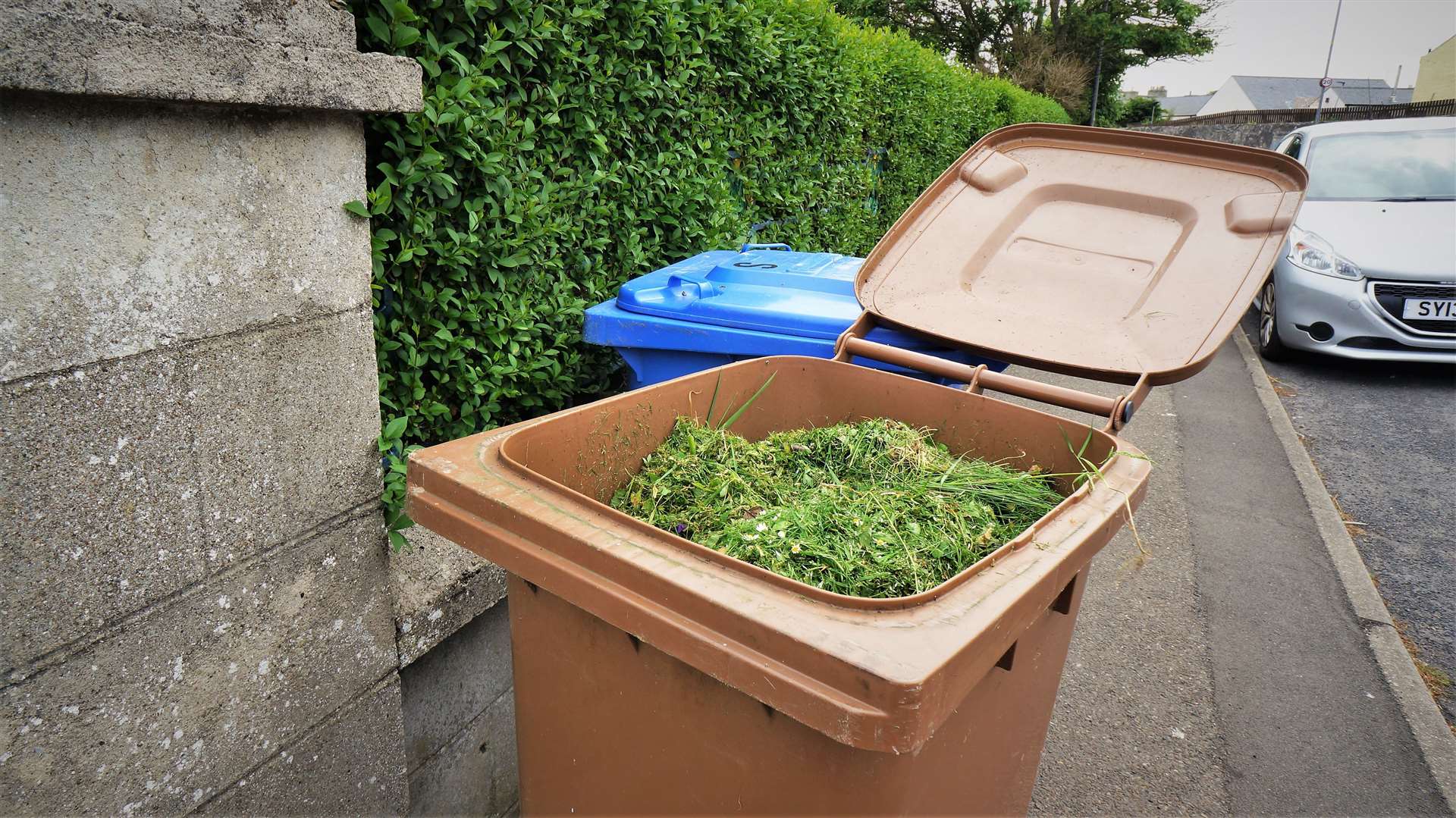 Brown bin permits for 2021/22 year expire today.