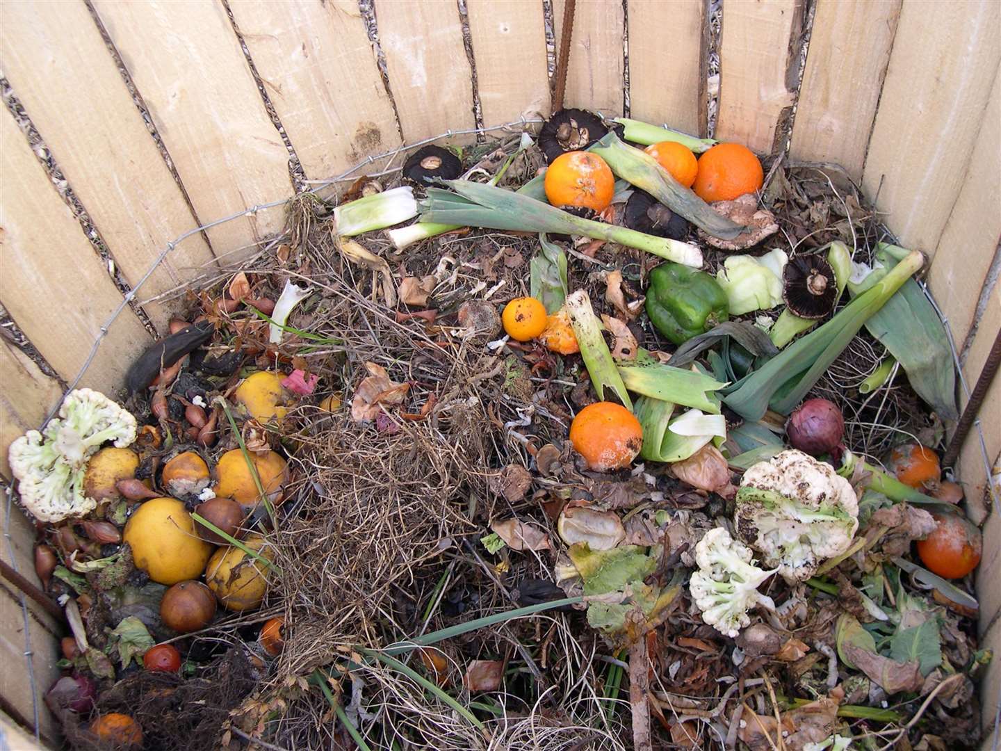 Food waste in a compost bin. Picture: Garden Organic/PA.