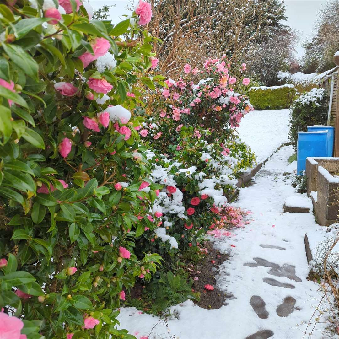 Snow-covered Mangotsfield in Bristol(@archard_ia53975/X/PA)