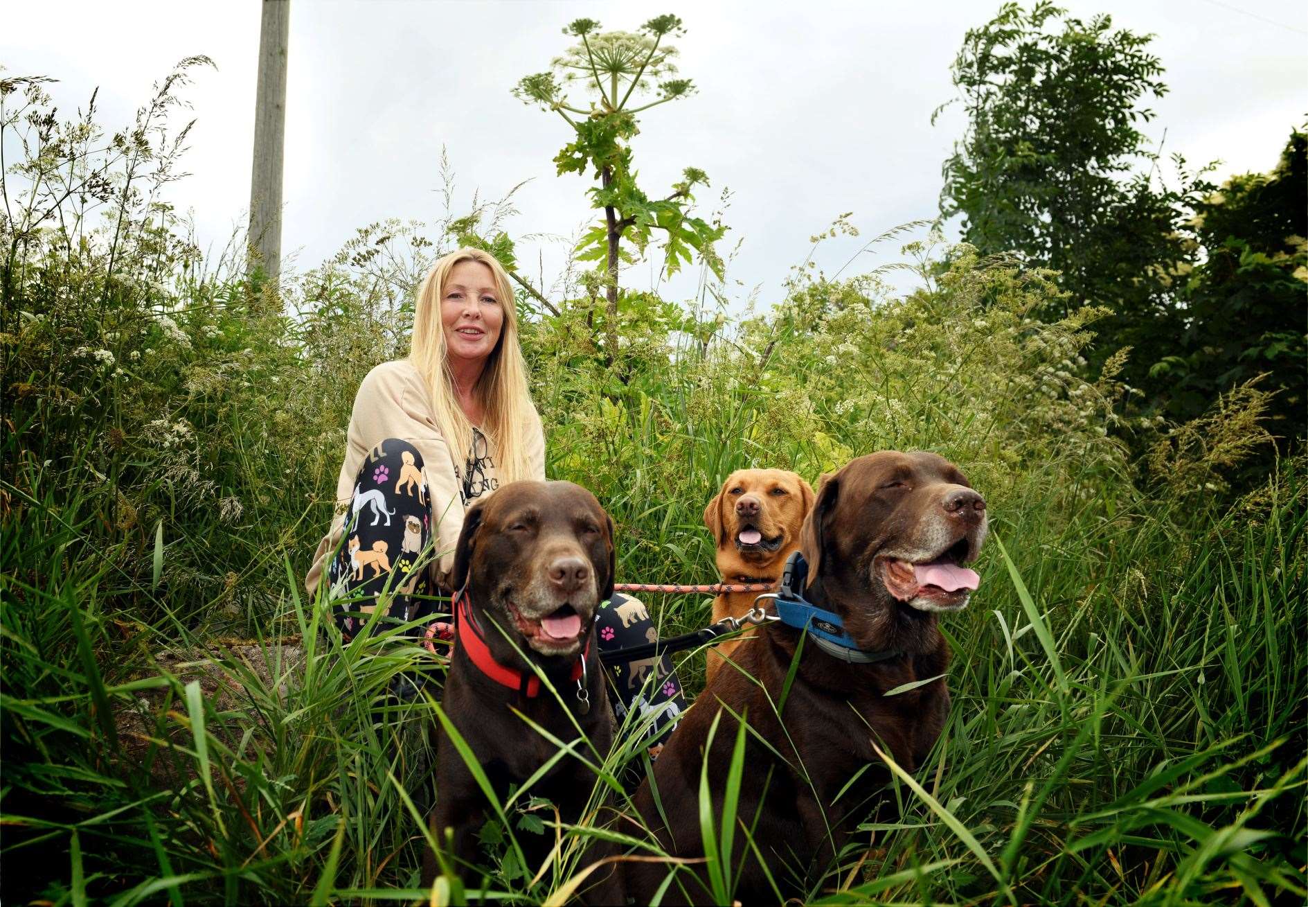 Angela Woodrow, Professional Dog Walker with a large hogweed plant looming behind her. Picture: James Mackenzie.