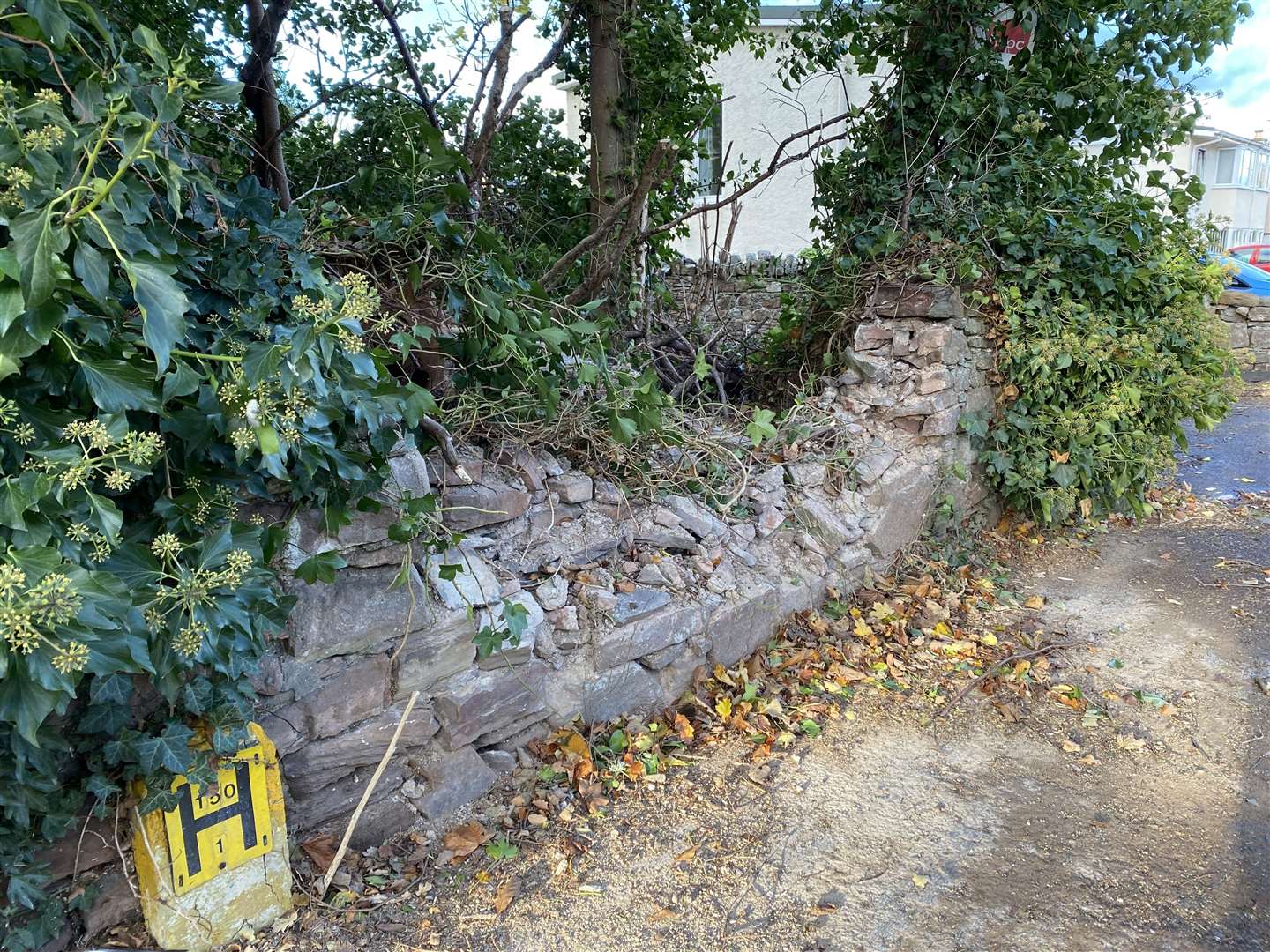 The damage to the wall caused by the fallen tree.