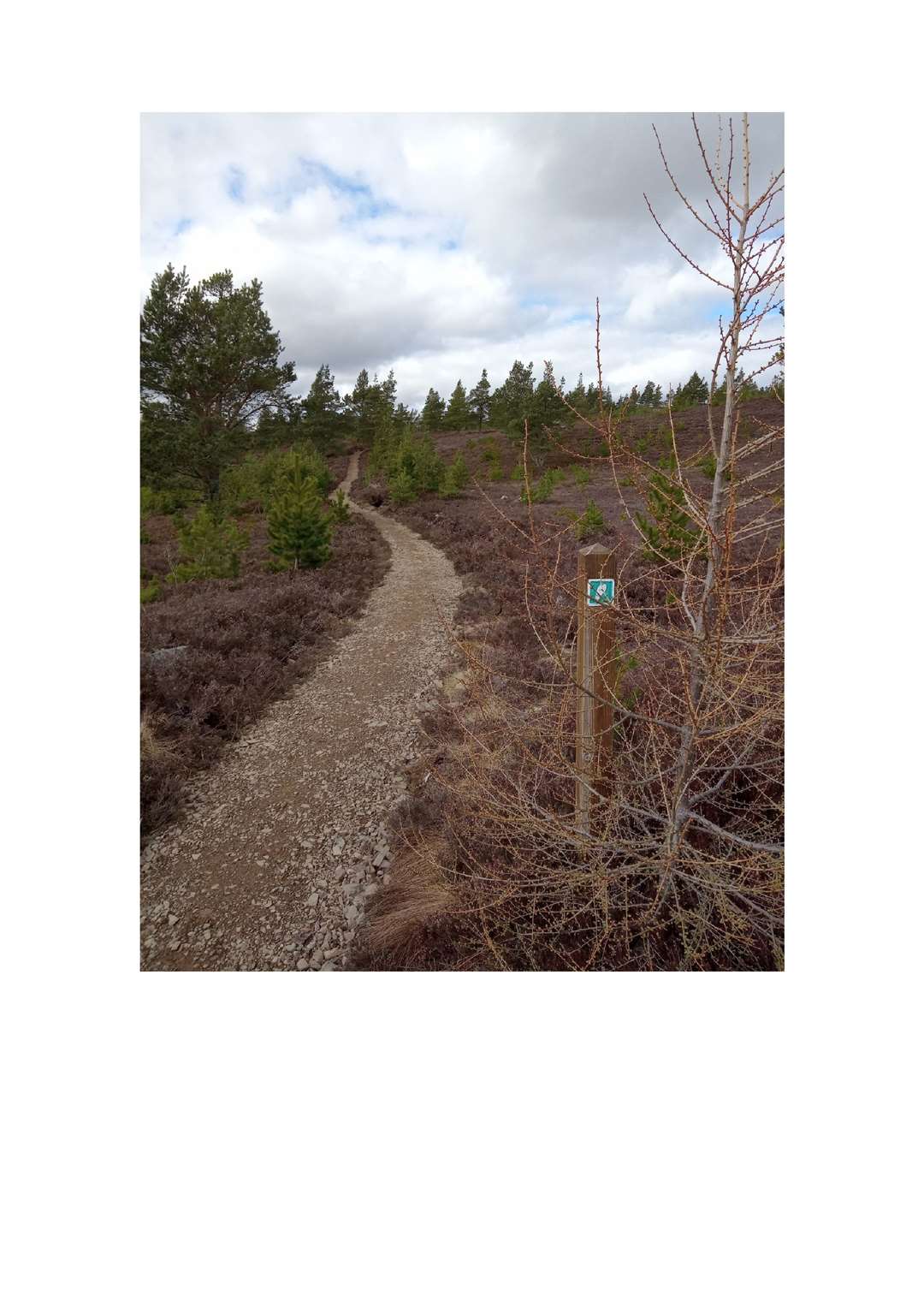 An upgraded section of trail.