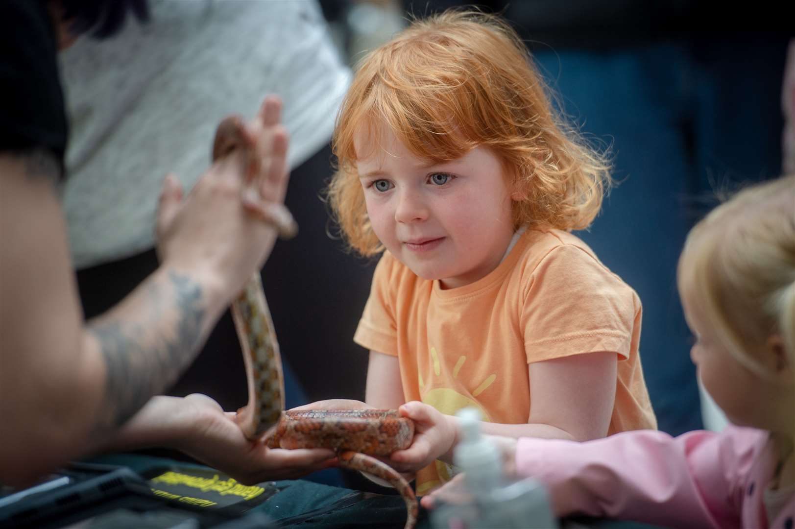 One youngster takes a cautious look at one of the visitors from Scottish Exotic Animal Rescue.