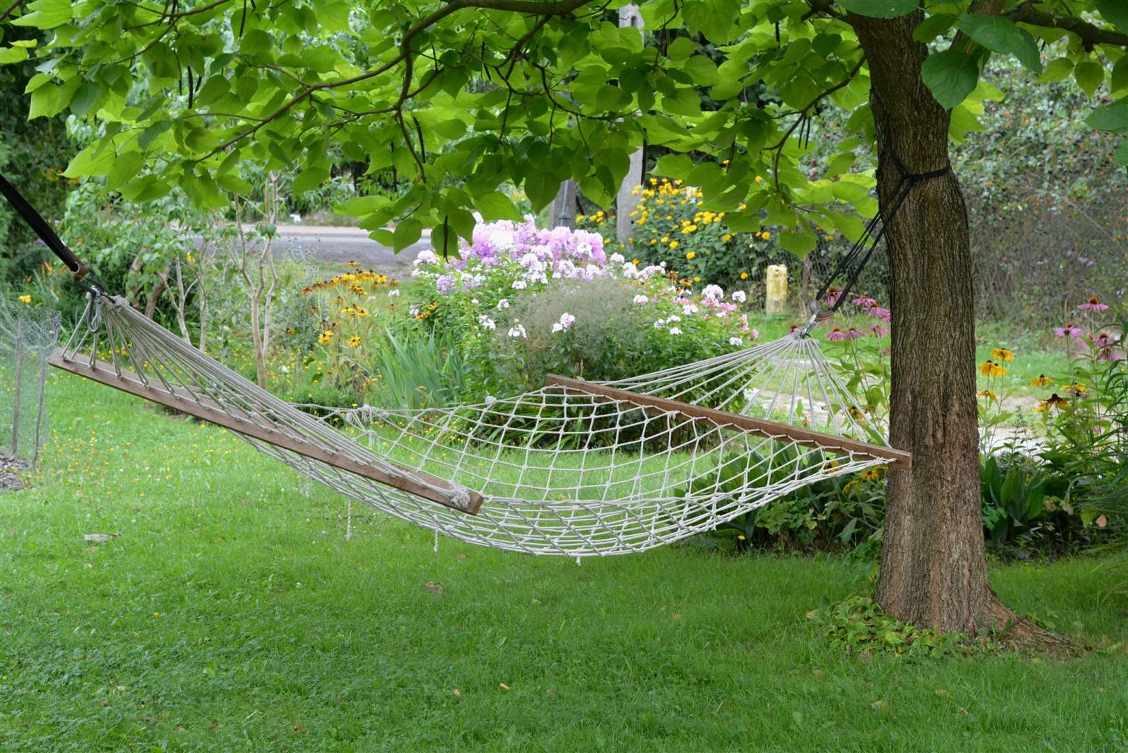 Relax in a hammock strung between trees.