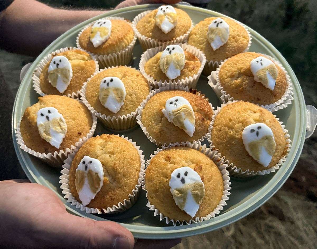 Volunteers celebrated with buns topped with owlet icing after the four owlets were ringed (Liam McBurney/PA)