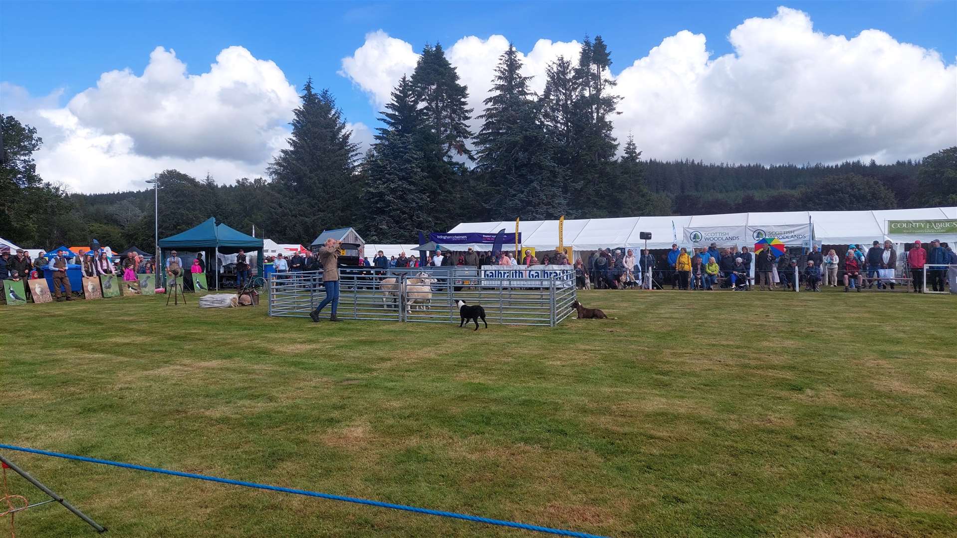 Moy Country Fair is back this weekend.