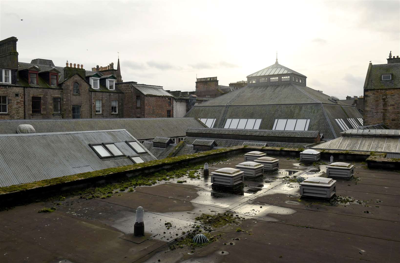 Looking over to the Victorian Market food court from the roof of Ponden Home Interiors. Picture: James Mackenzie.