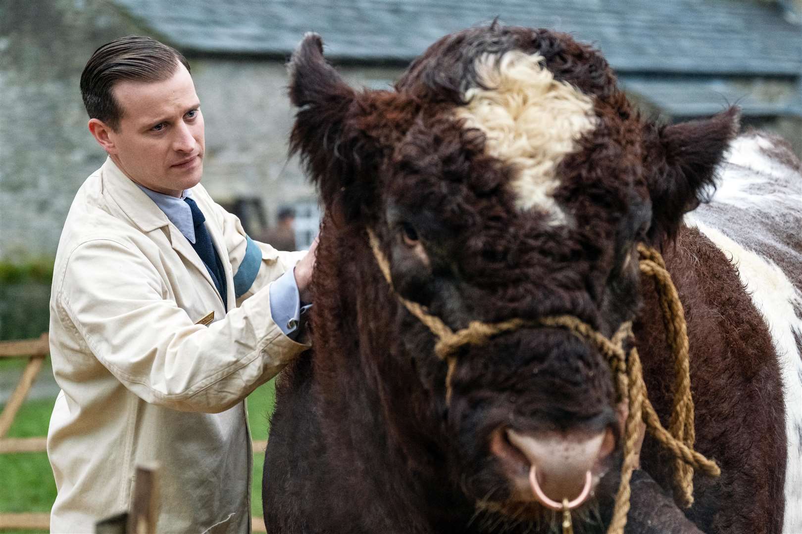 Nicholas Ralph as young vet James Herriot with bull Clive (Jester).