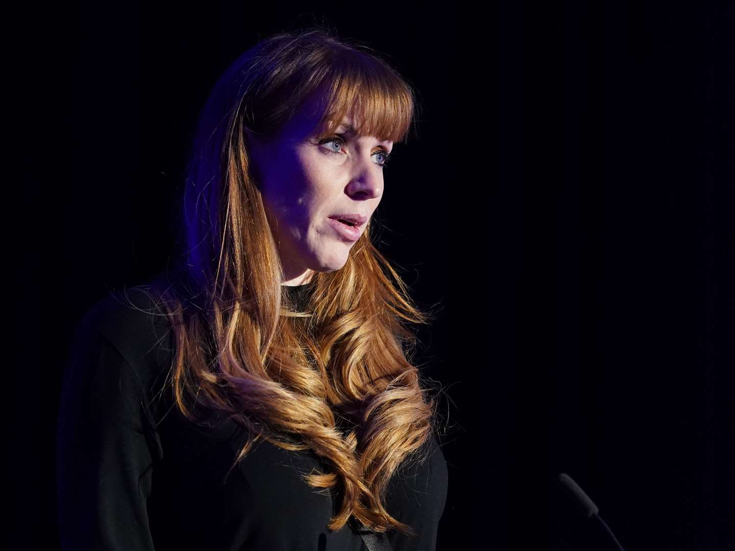 Labour deputy leader Angela Rayner speaking at the ceremony (James Manning/PA)