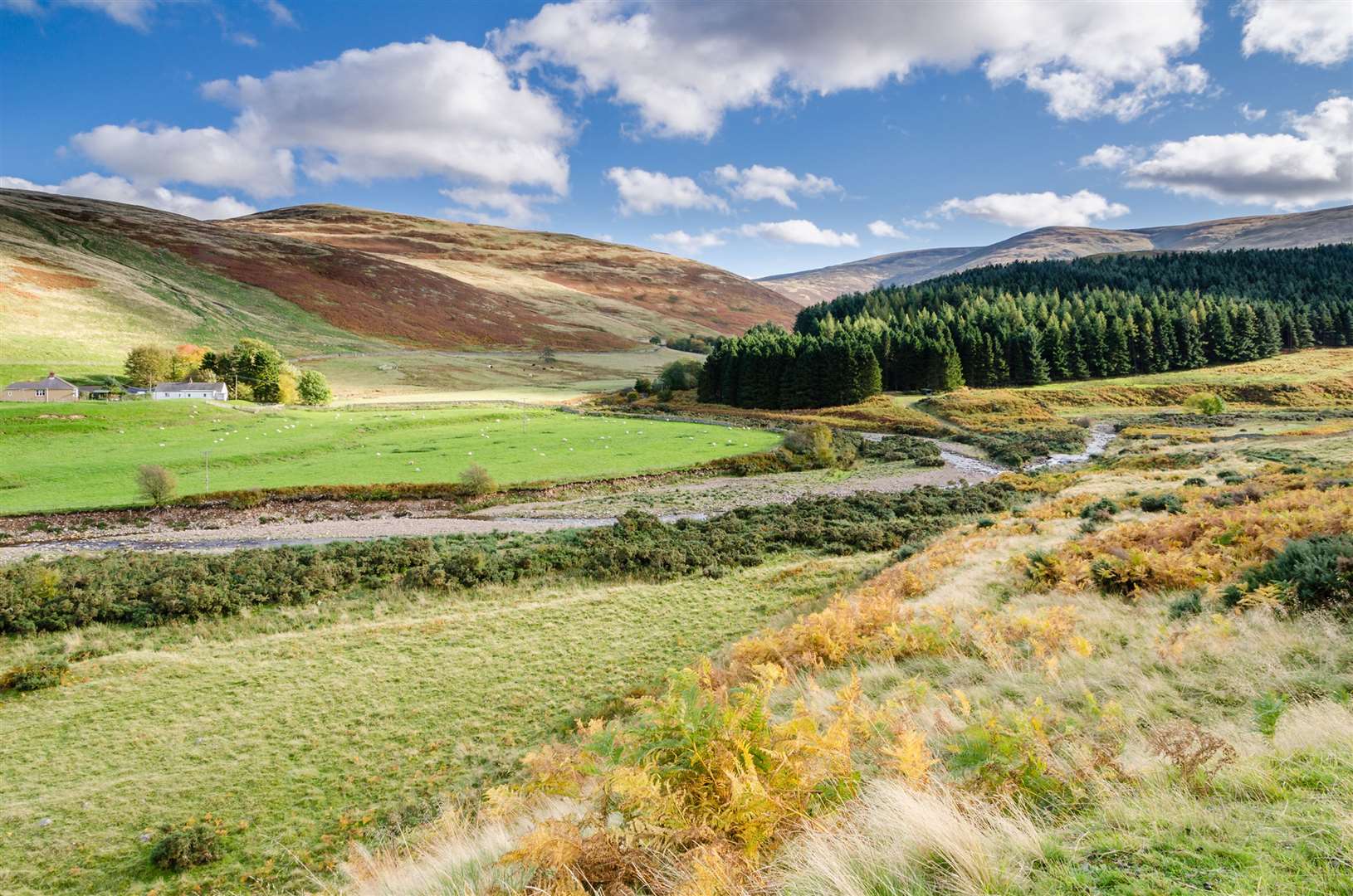 College Valley in Northumberland National Park. Picture: PA Photo/iStock