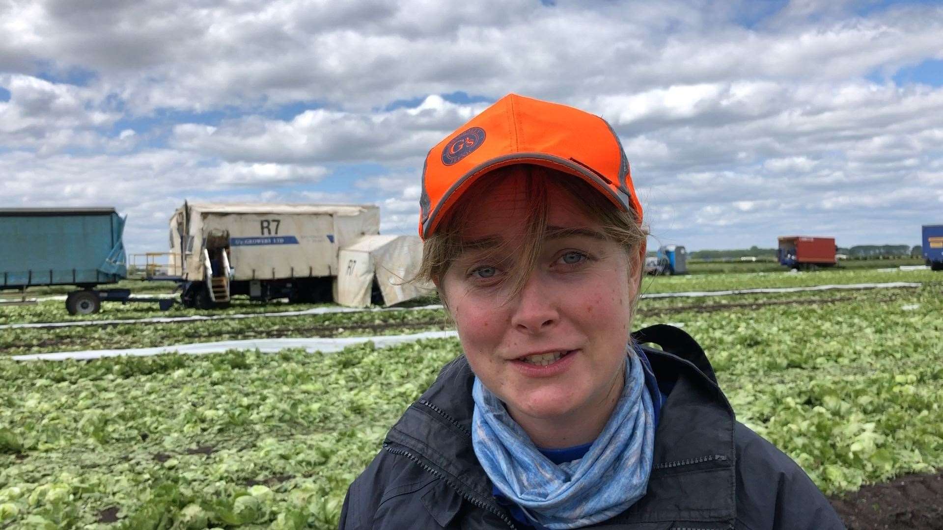 PHYSICAL WORK: Lucy is a lettuce picker on a G’s farm