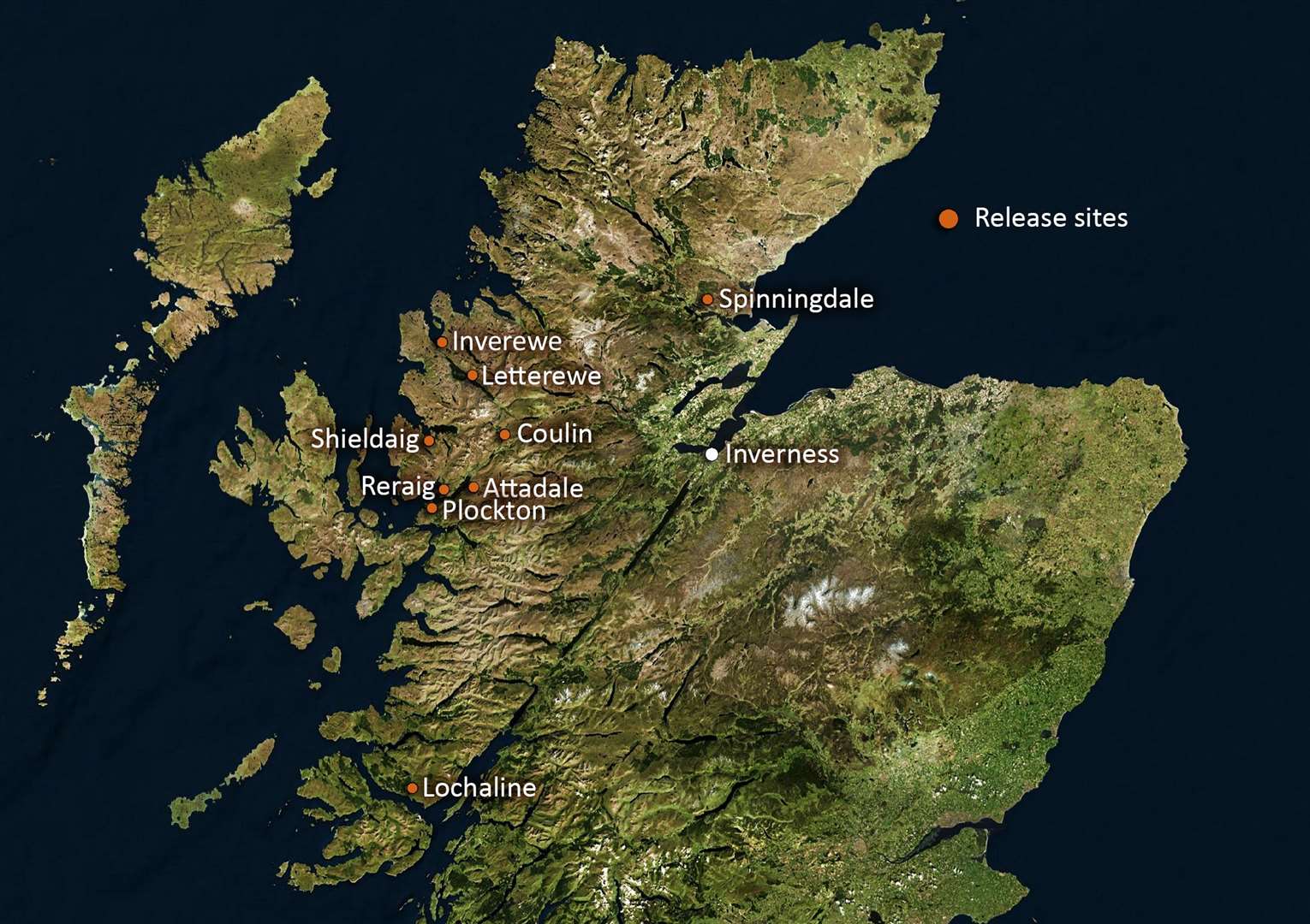 The locations where Trees for Life has reintroduced red squirrel populations range from Sutherland in the north across to several Wester Ross locations in the west and the Morvern peninsula in Lochaber to the south.