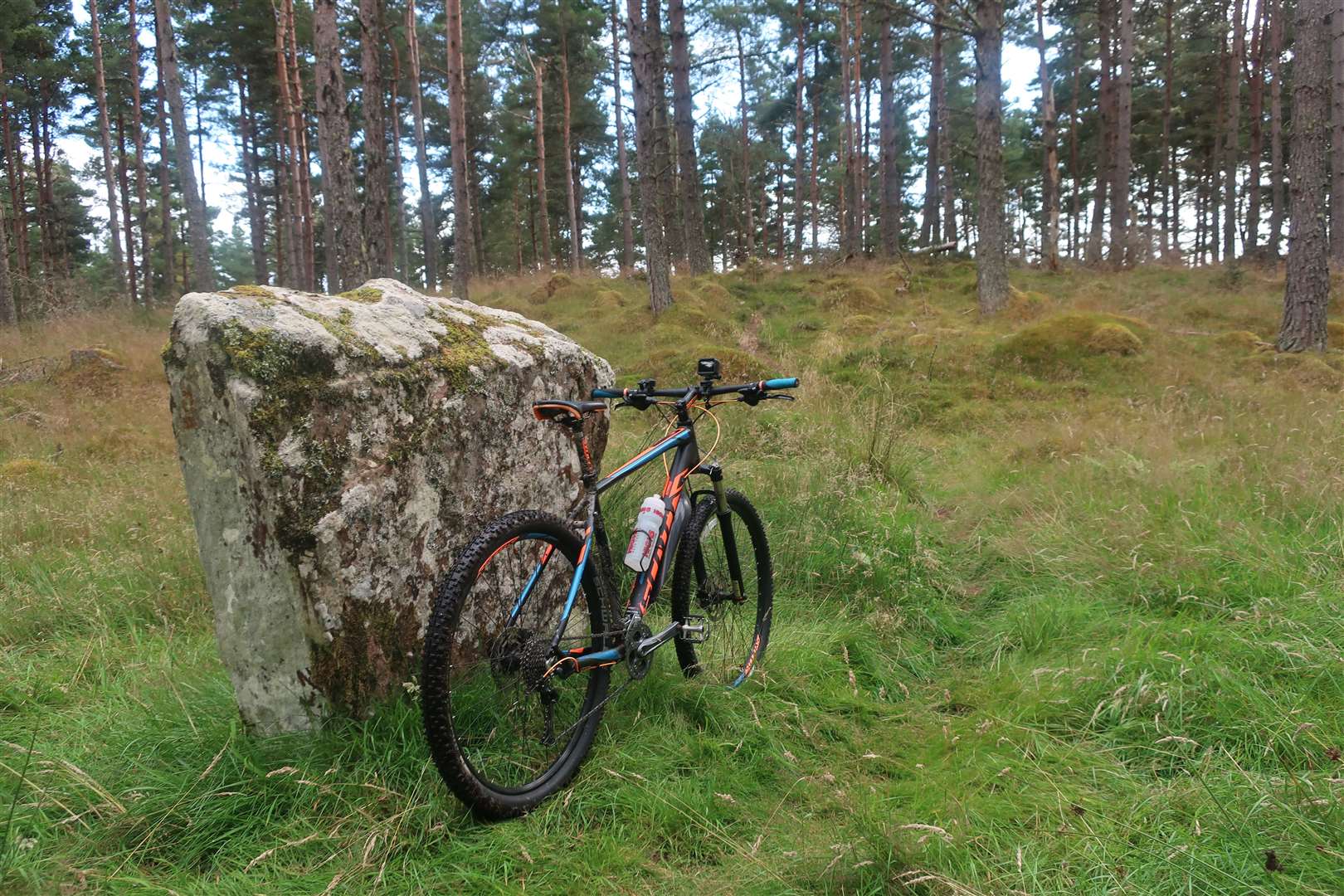A standing stone beside the singletrack trail.