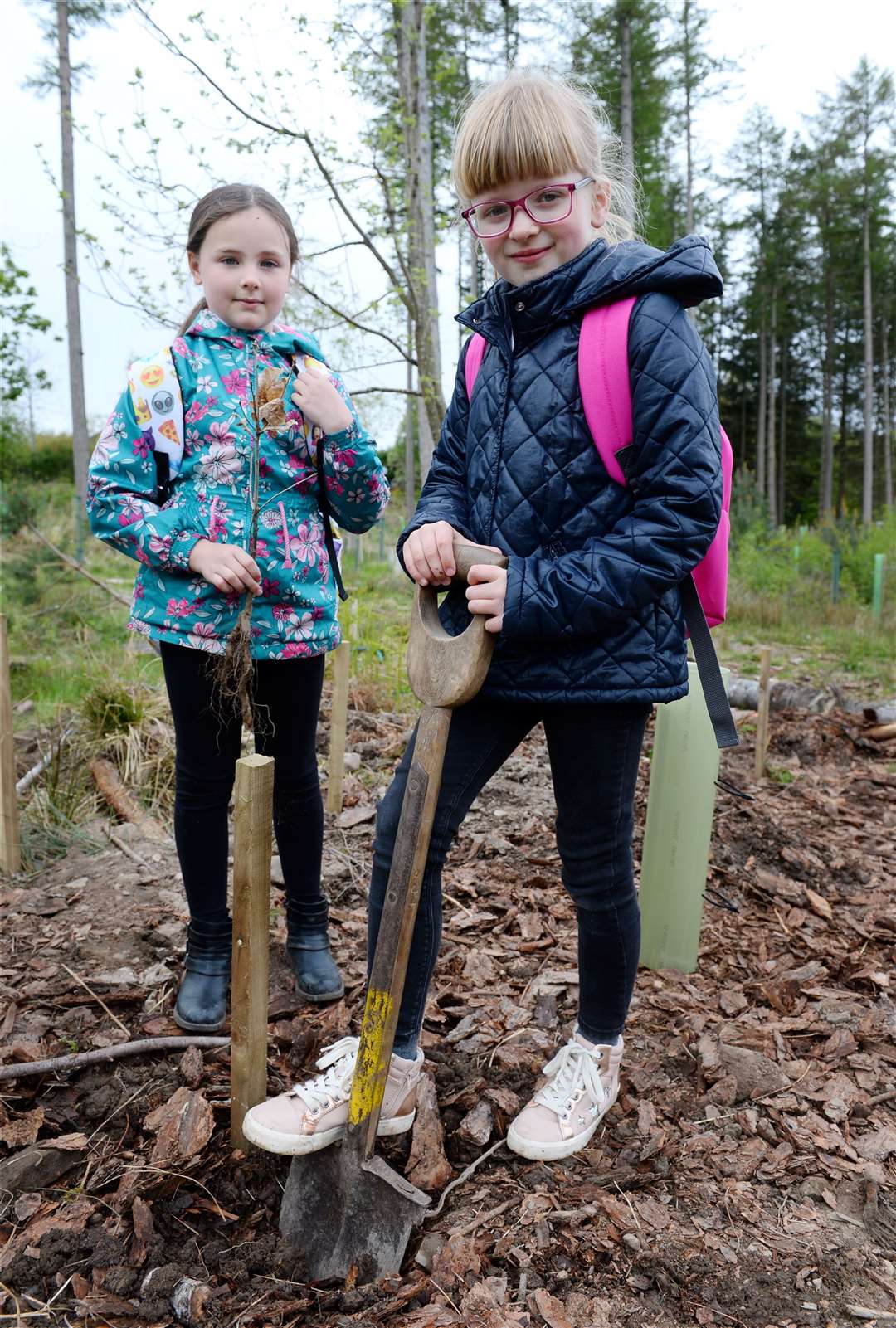 Scottish School of Forestry open day for local primary schools...Massie Fenion and Wictoria Socha plant a little oak tree...Picture: Gary Anthony. Image No.043929.