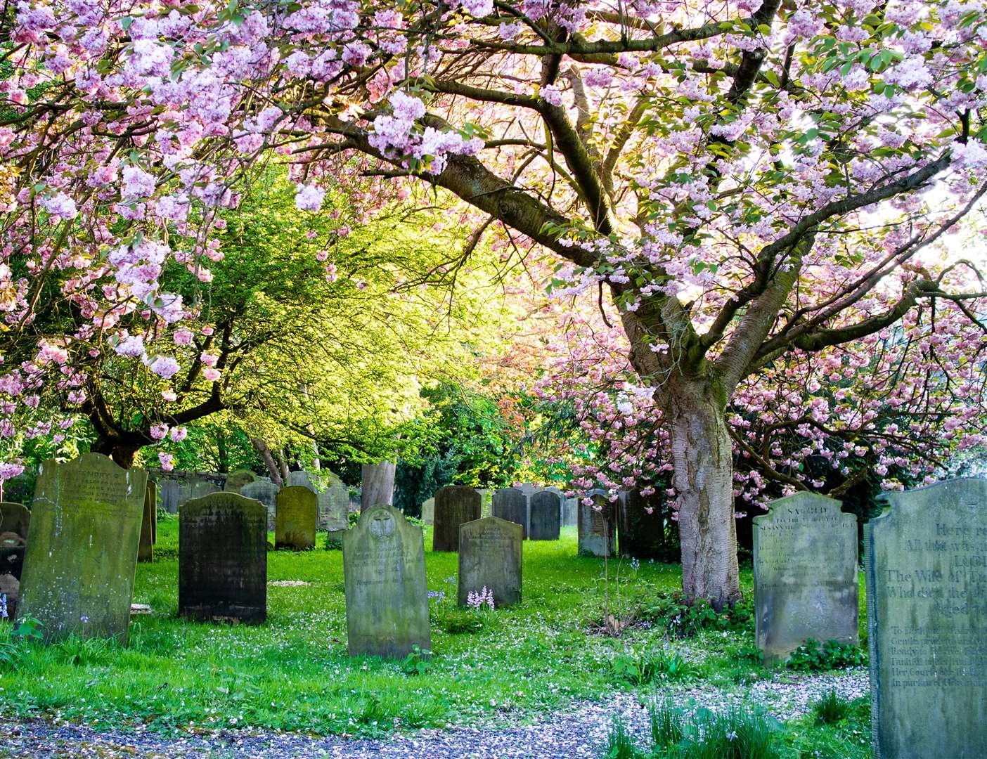Revised rules for Highland burial grounds and crematorium.