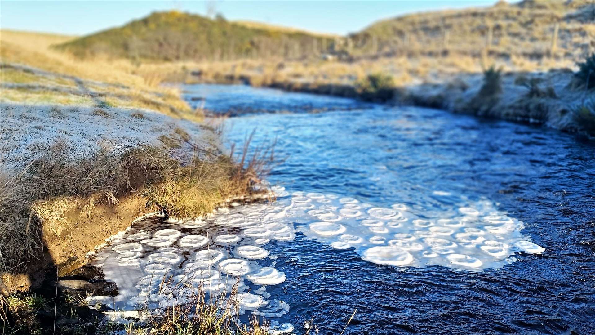 The ice discs on Scouthal Burn near Watten. Pictures: DGS