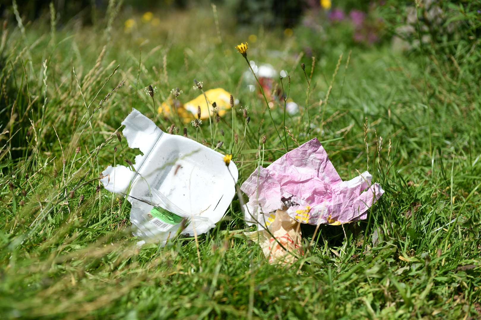 Litter has attracted hundreds of complaints.