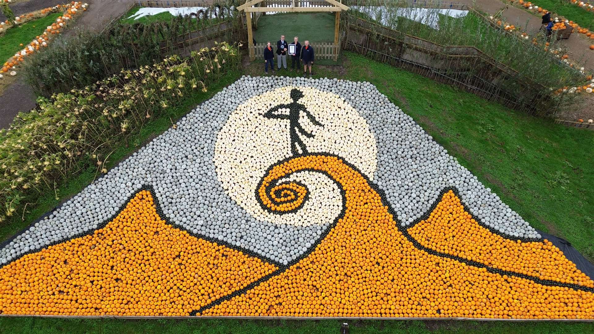 The mosaic is made up of different pumpkin and squash varieties (Guinness World Records/PA)