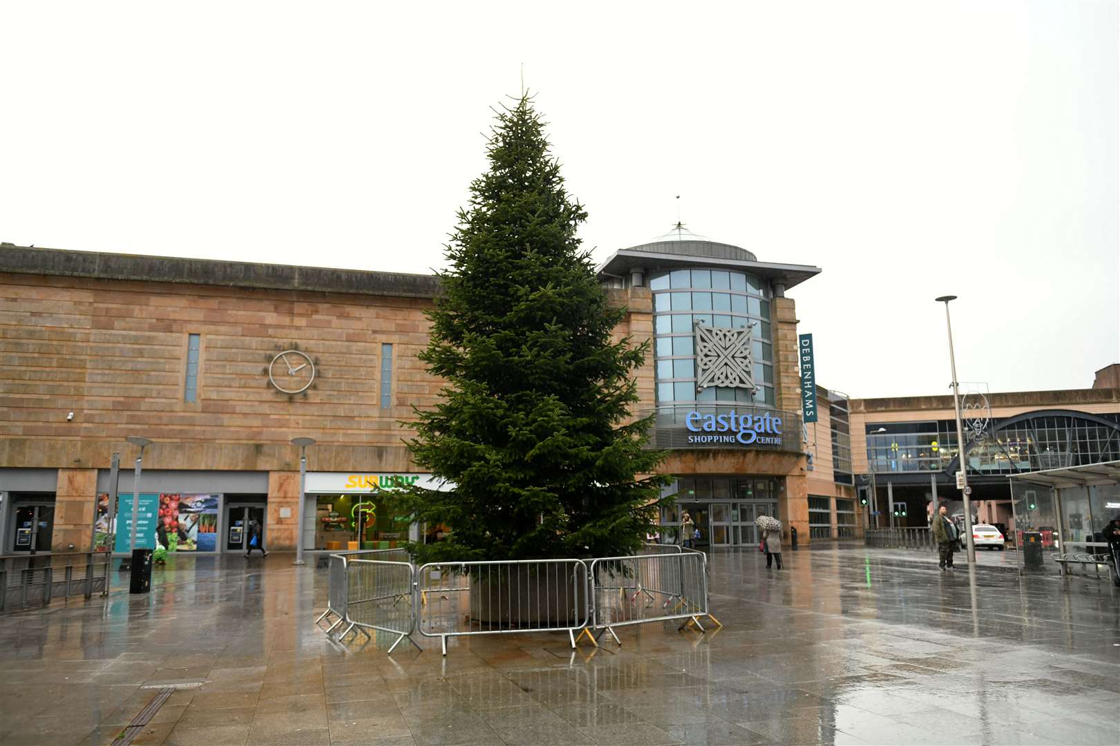 The Highland Hospice tree in Falcon Square.