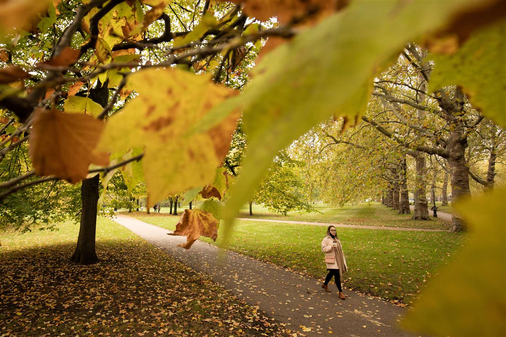 People walk among trees displaying autumn foliage in St James Park, in central London (Aaron Chown/PA)