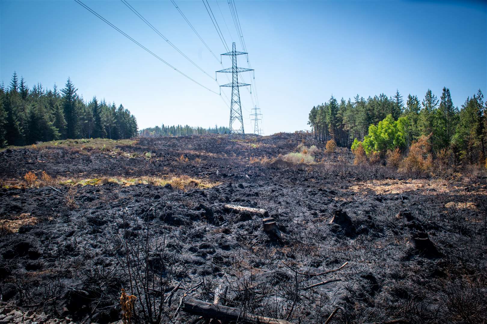 The damage of the fire near Cannich. Picture: Callum Mackay.