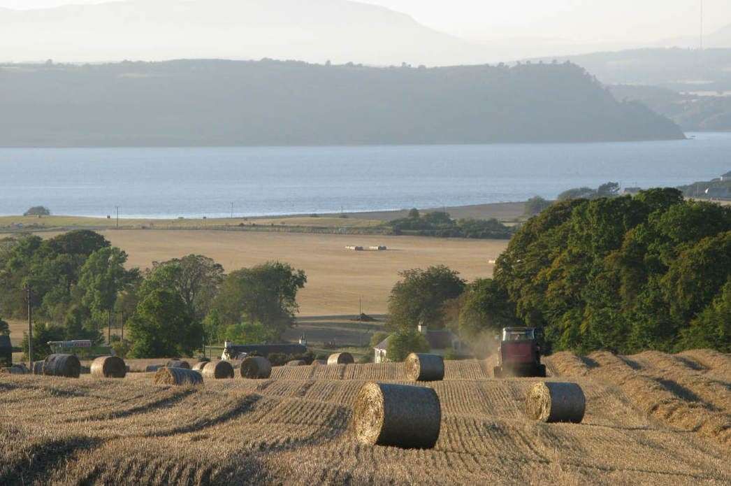 An online campaign is calling for a community buyout of land at Balloch Farm where more than 300 homes could be built.