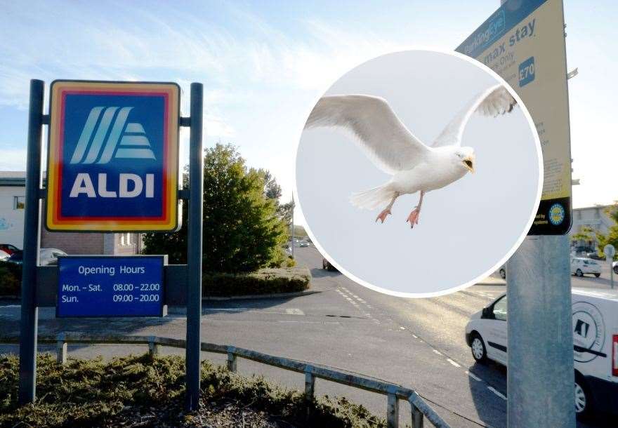 Aggressive seagulls have been stealing from shoppers at the Aldi store at Inshes, Inverness