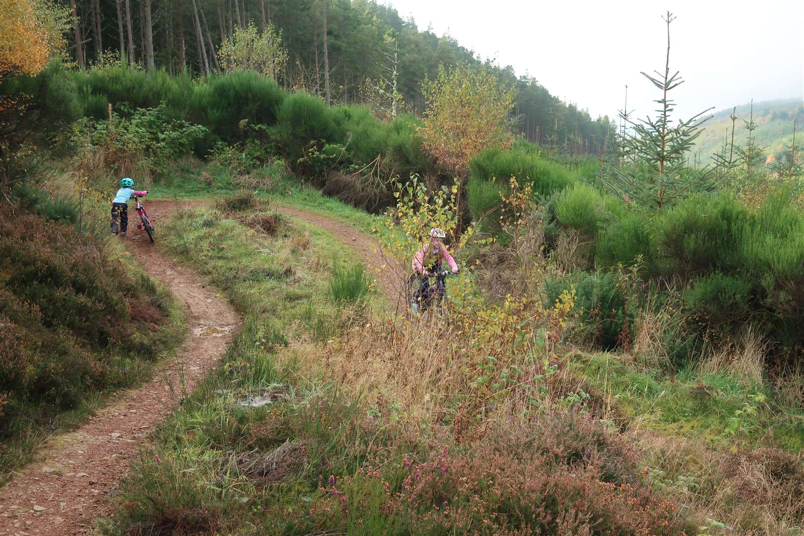 A little bit of pushing helps with some of the trickier sections as the trail winds up and down through the Learnie forest.