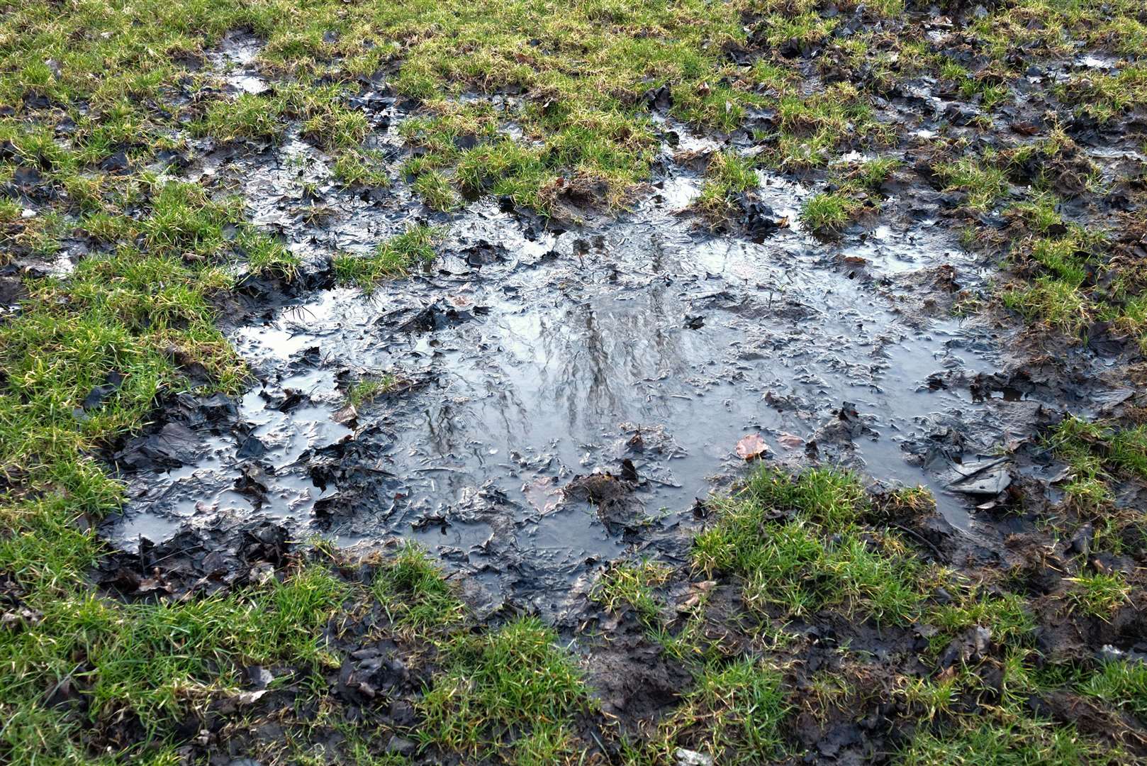 The mild winter is creating a bigger problem than usual with waterlogged gardens. Picture: iStock/PA