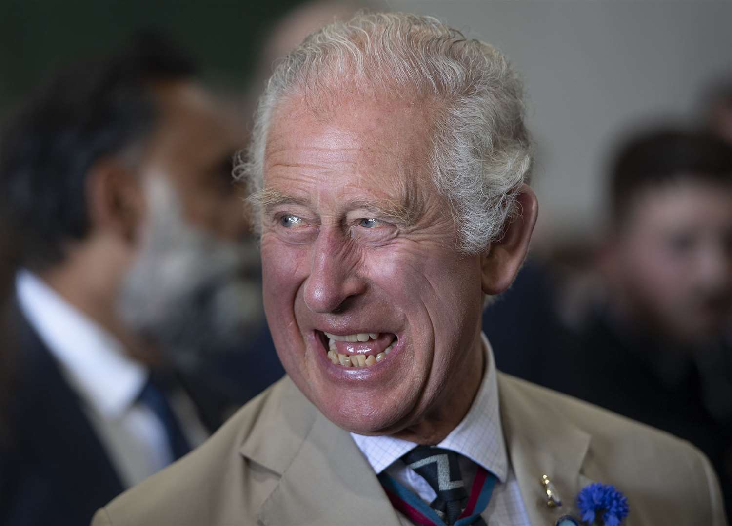 The Prince of Wales (Eddie Mulholland/Daily Telegraph/PA)