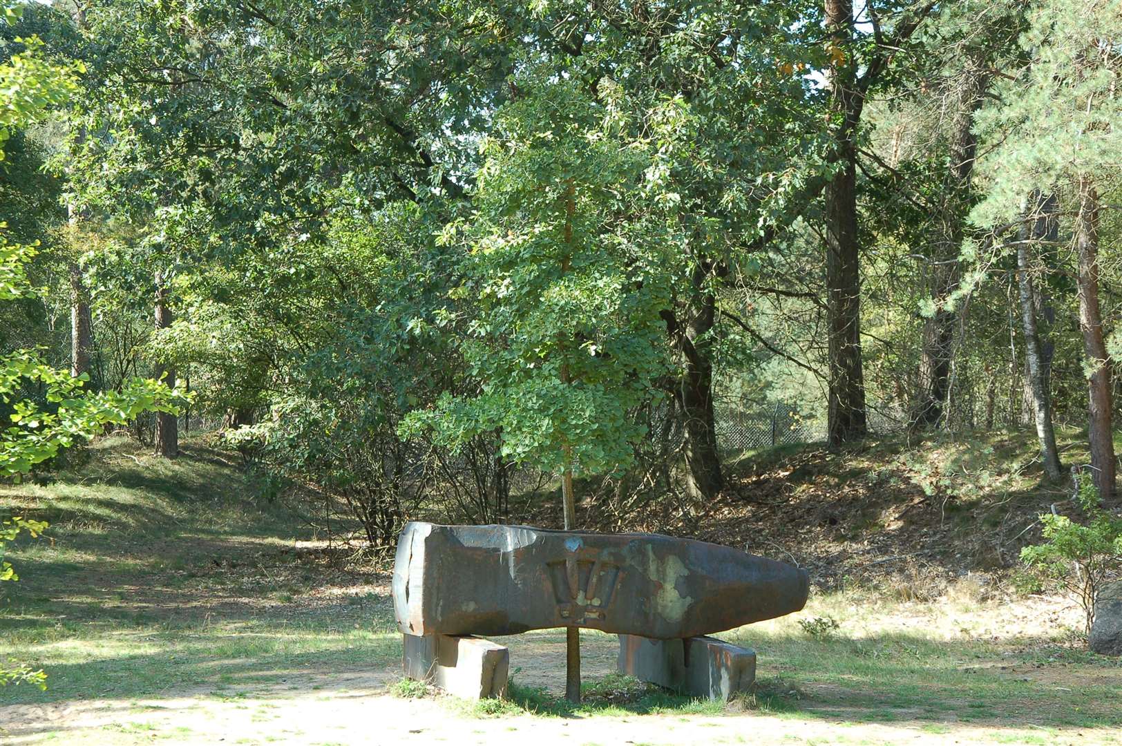 One of the many art works, a Ginko tree grows up through the hammer head sculpture - eventually it will form the shaft of the hammer.