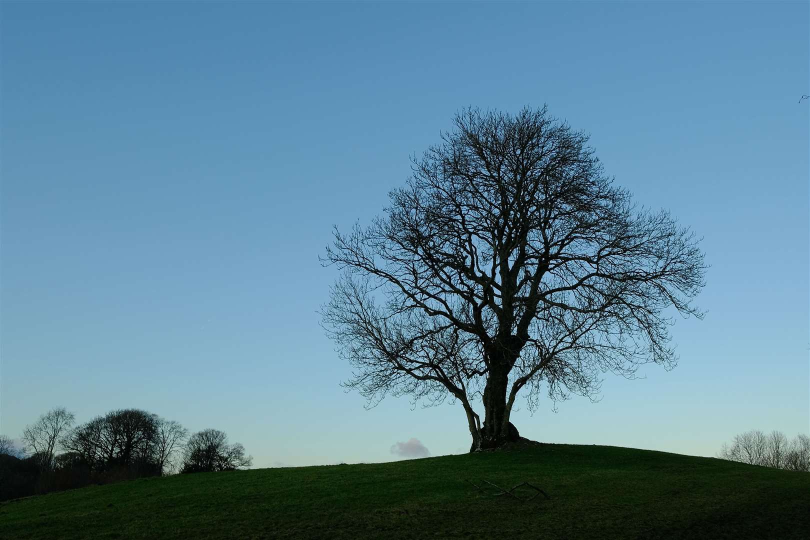 The death of ash trees is expected to change the UK landscape (Peter Tasker/National Trust/PA)