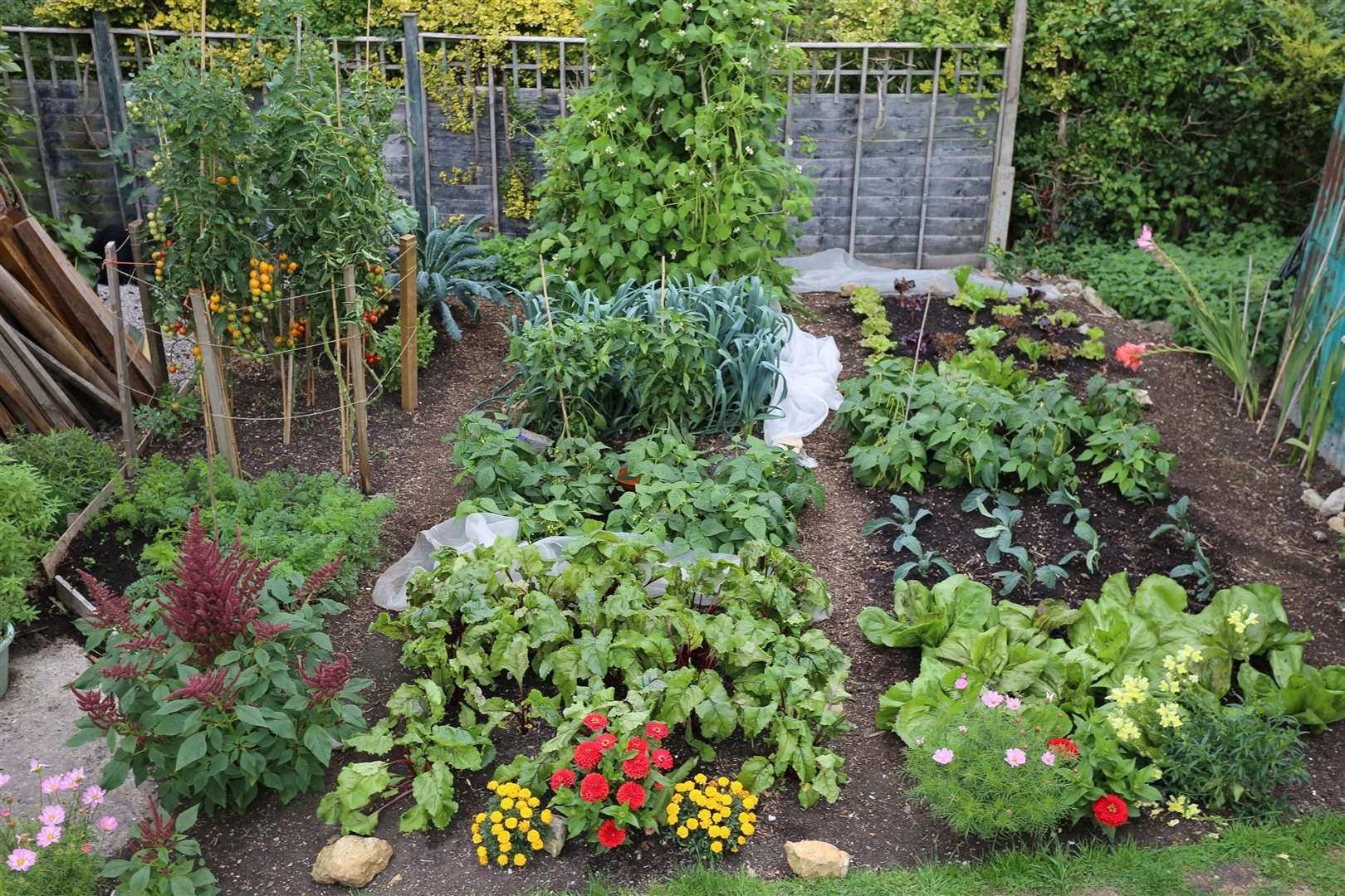 Many plants and vegetables can be planted closer together than suggested. Picture: Charles Dowding/PA