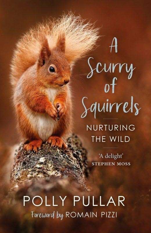 A Scurry of Squirrels.