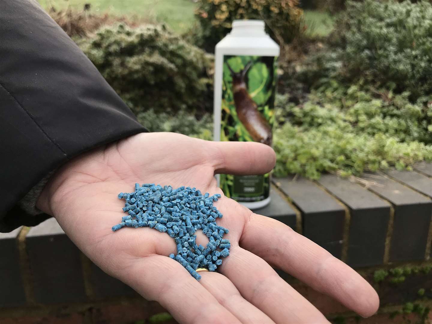 Avoid the use of slug pellets and pesticides. Picture: Hannah Stephenson/PA