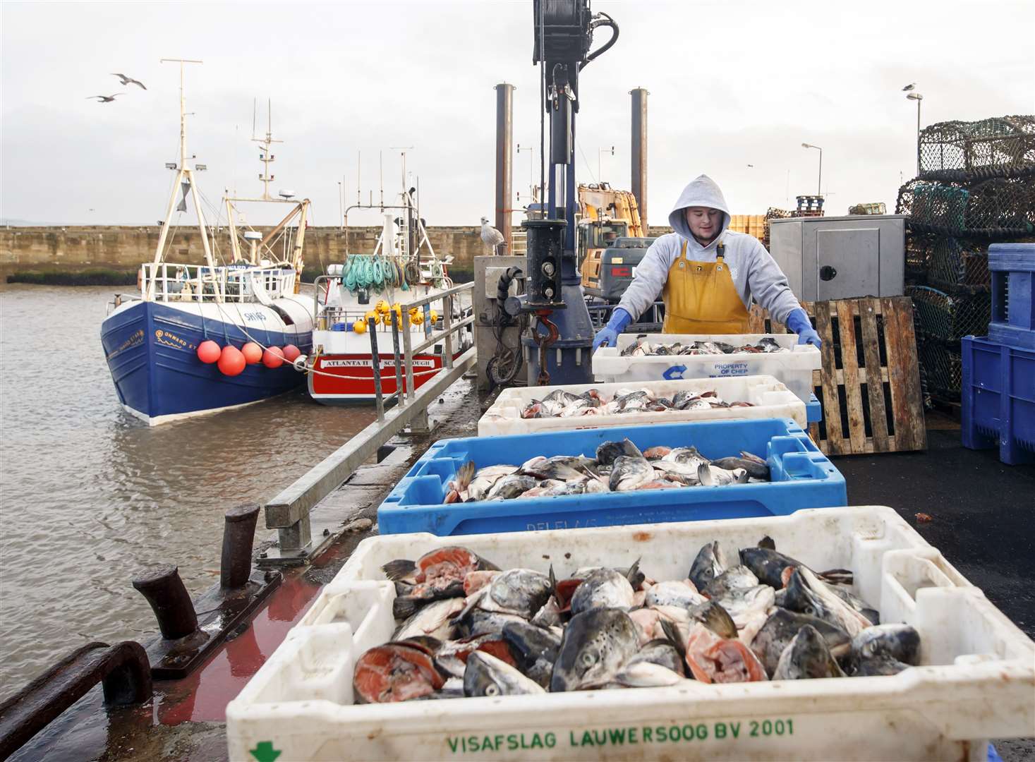 Fishing bait is unloaded at Bridlington Harbour fishing port in Yorkshire (Danny Lawson/PA)