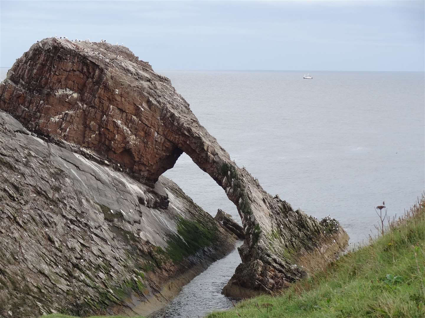 Bow Fiddle Rock is a highlight of the Moray Coast Trail.