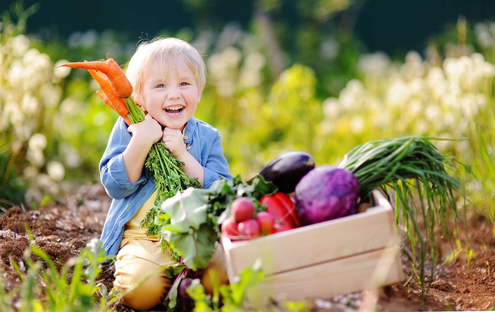 Learn more about vegetable growing for all ages.
