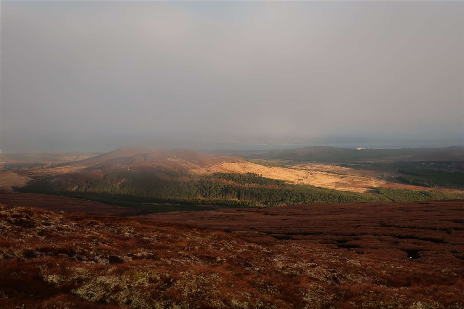 Looking north over Meall Mor to the Moray Firth.