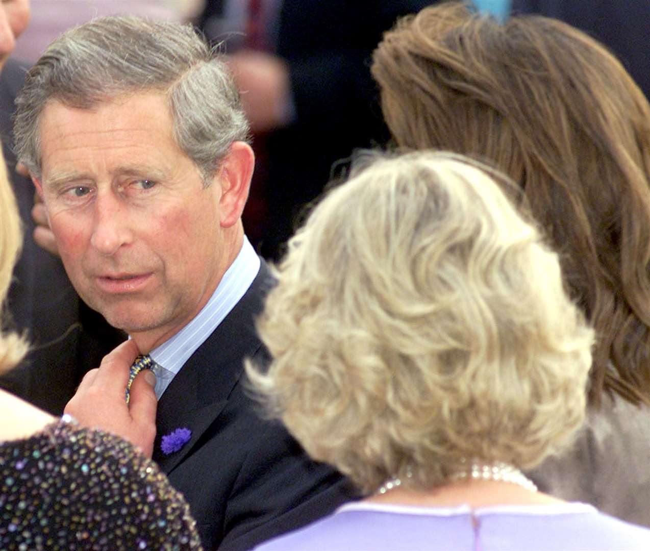 The then-Prince of Wales admitted to the affair with Camilla in 1994 (PA Archive/PA Images)