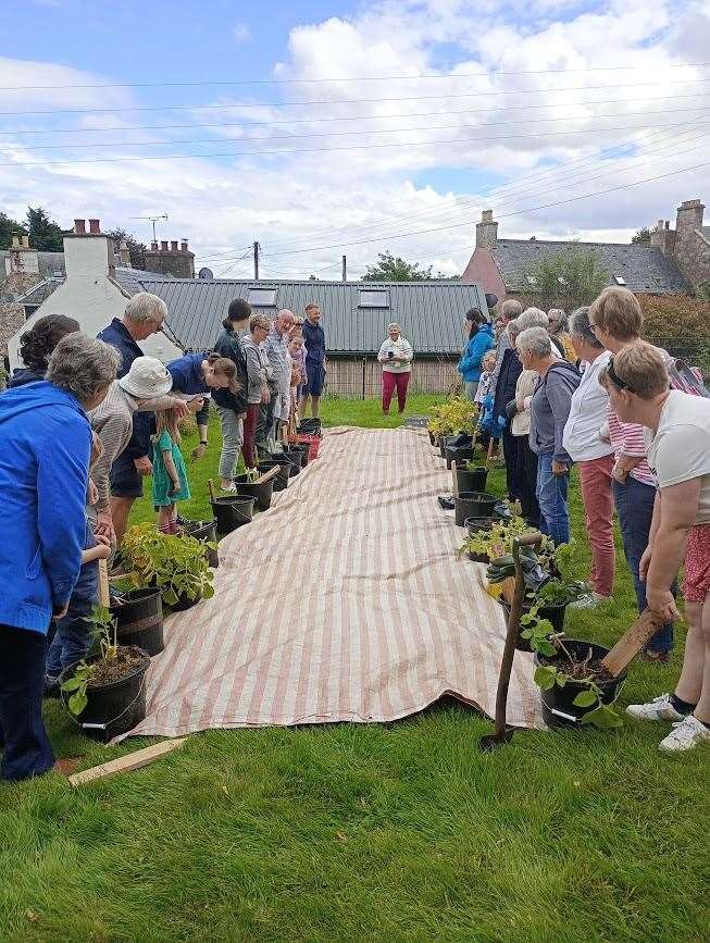 The Tubs of Tatties' moment of truth approaches as participants get ready to empty them out at the Black Isle Horticultural Society’s Summer Show.