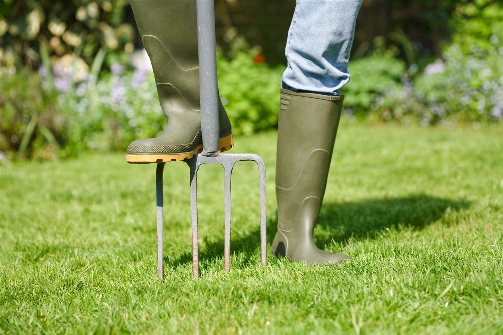 Aerate the lawn to improve drainage and compaction.