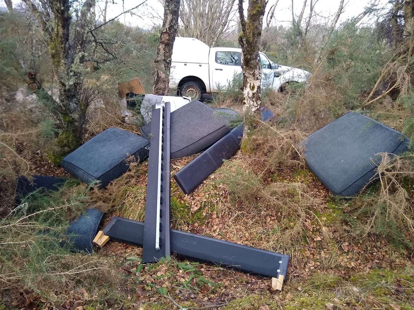 Bed frames and other furniture have been thrown into the forest.