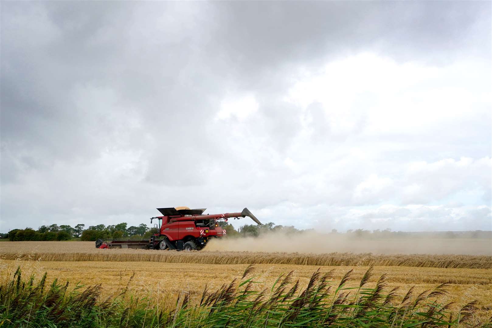 A combine harvester at work in fields on the Romney Marsh in Kent (Gareth Fuller/PA)