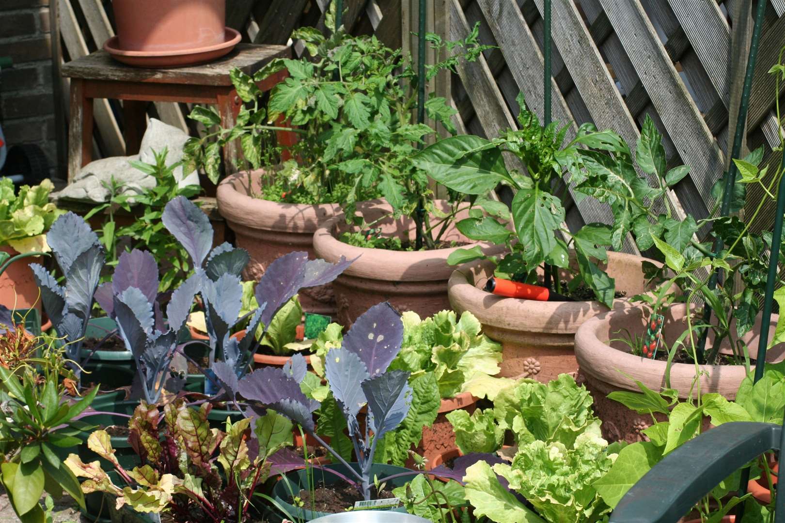 Tasty herbs and salads from the garden can add to your sensory enjoyment.