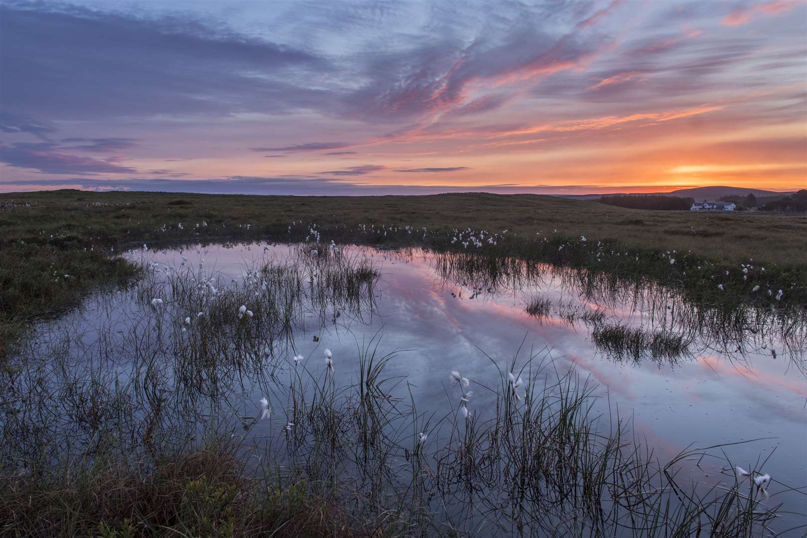 The Flow Country. Picture: The Peatlands Partnership